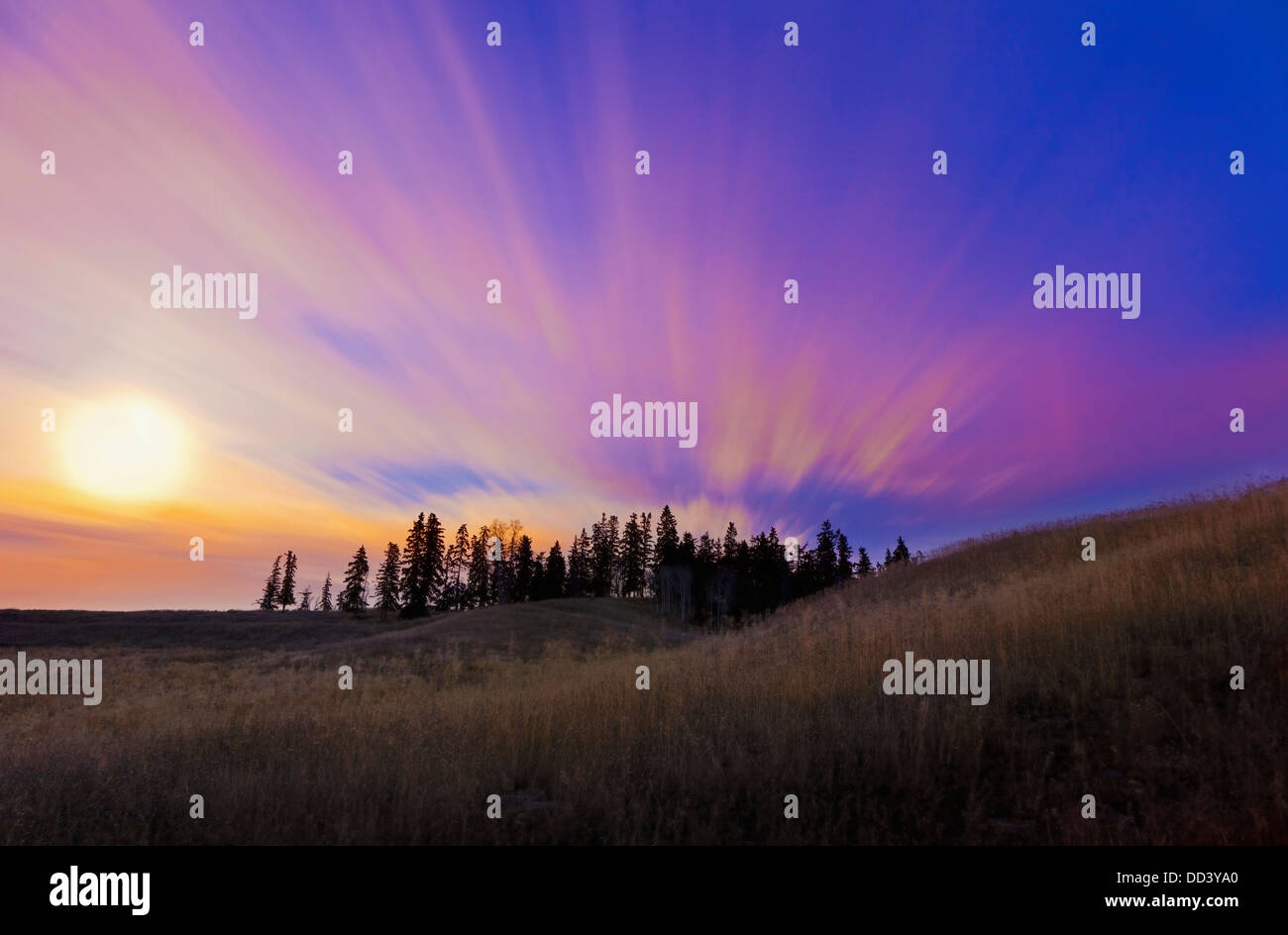 Streaks Through The Clouds At Sunset Parkland County Alberta Stock Photo Alamy