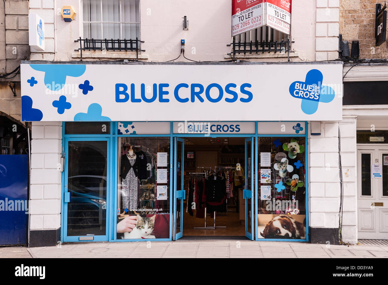 The Blue Cross Shop store in Warminster in Wiltshire , England , Britain , Uk Stock Photo