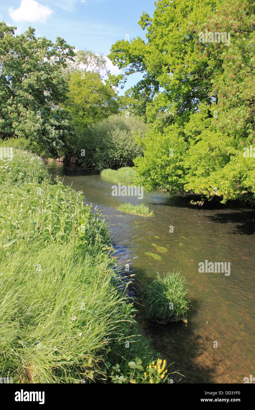 The River Mole at Mickleham between Dorking and Leatherhead, Surrey