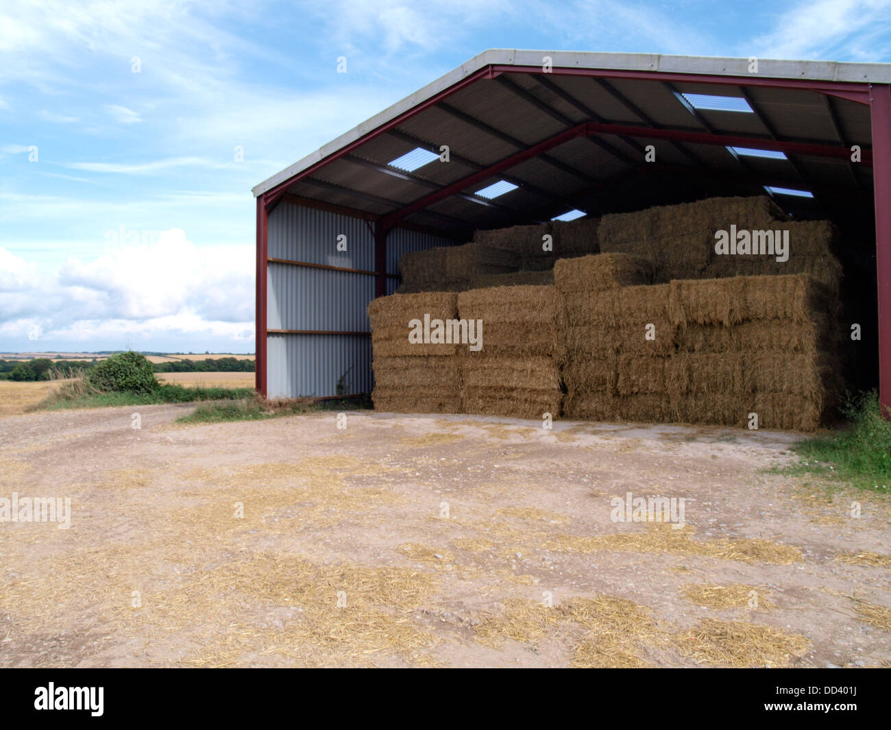 Barn full of square bales of hay, Dorset, UK 2013 Stock Photo