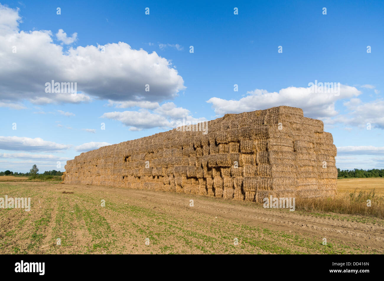 Grass haystack hi-res stock photography and images - Alamy