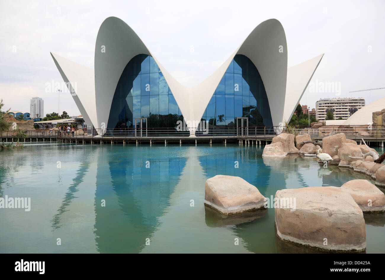L'Oceanografic - Oceanarium in Valencia, Spain Stock Photo