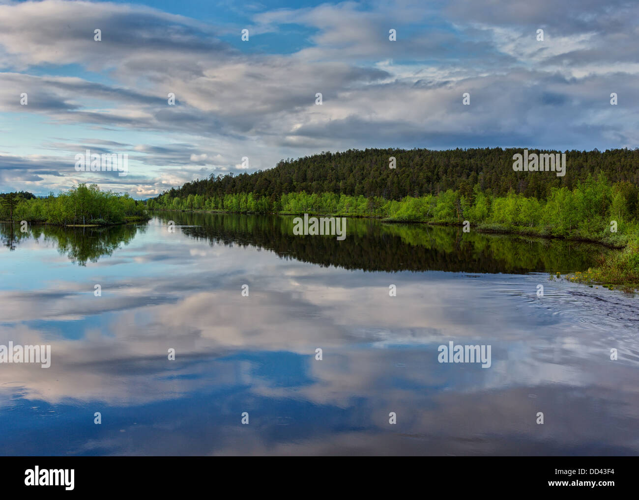 Summer evening over the wilderness of Lapland. Stock Photo