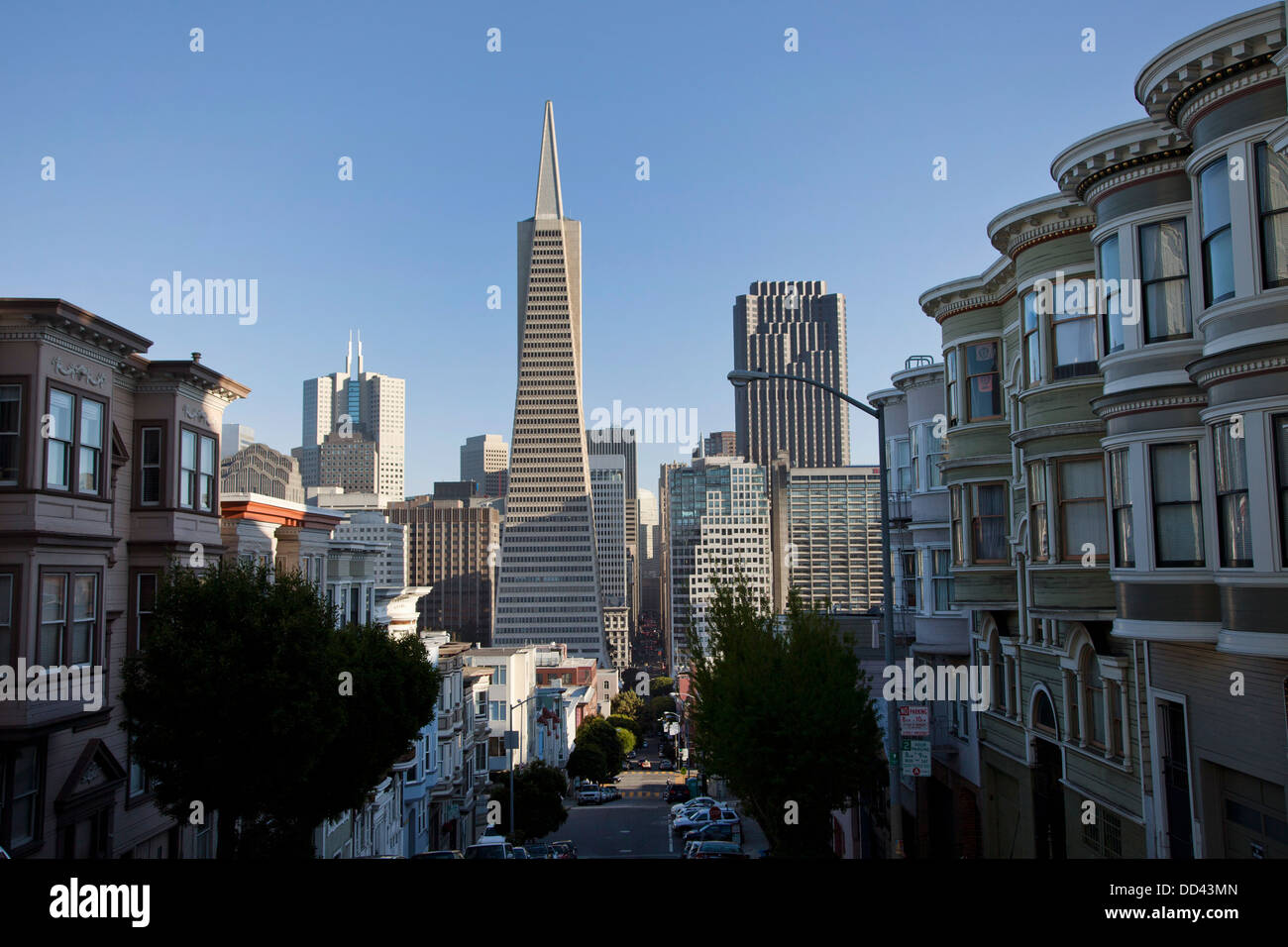 The Transamerica Pyramid towers above the Financial District as seen from Telegraph Hill in San Francisco, California. Stock Photo