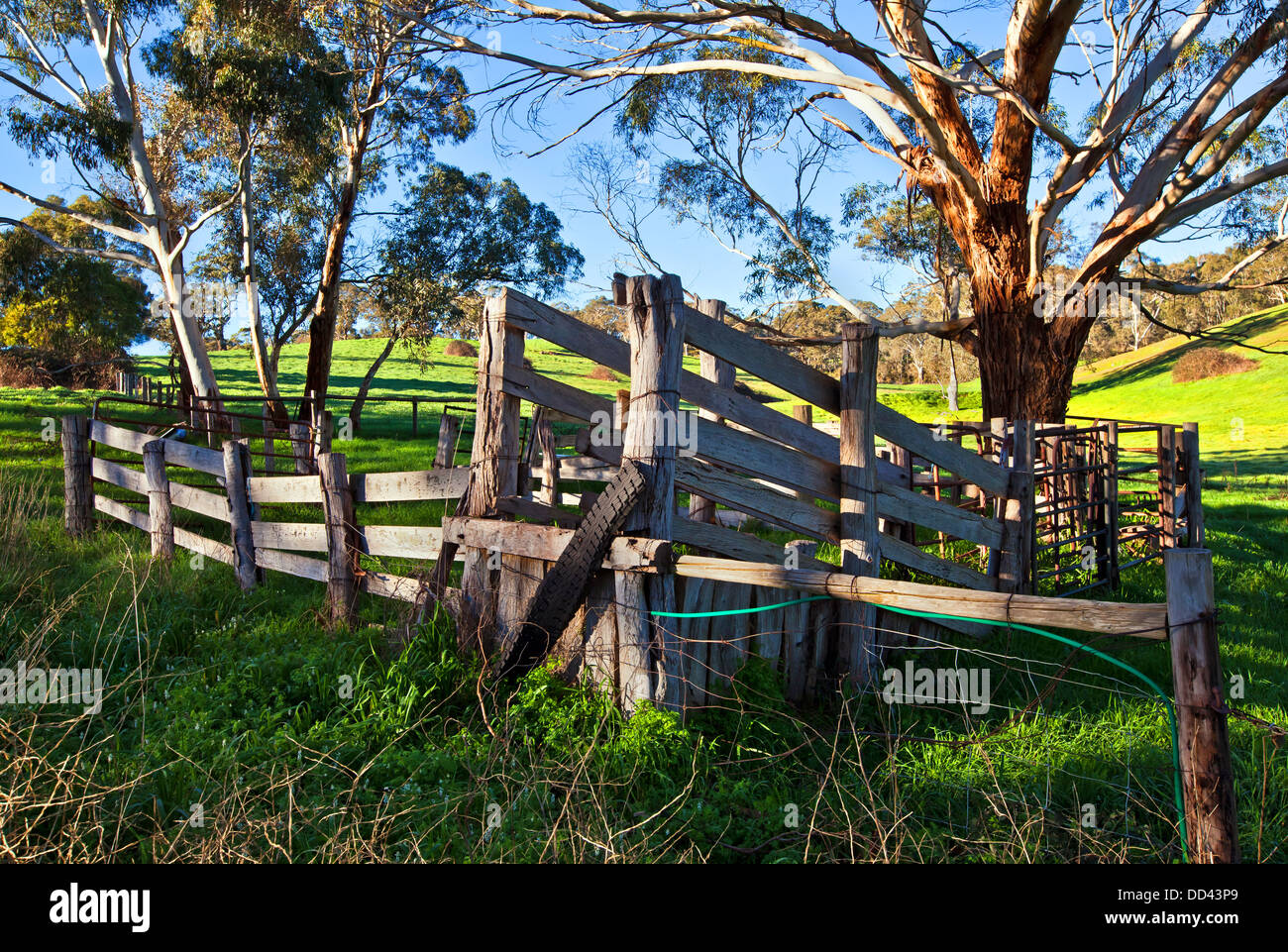 Old stock yard and loading ramp on the Meadows Road on the Fleurieu Peninsula in South Australia Stock Photo