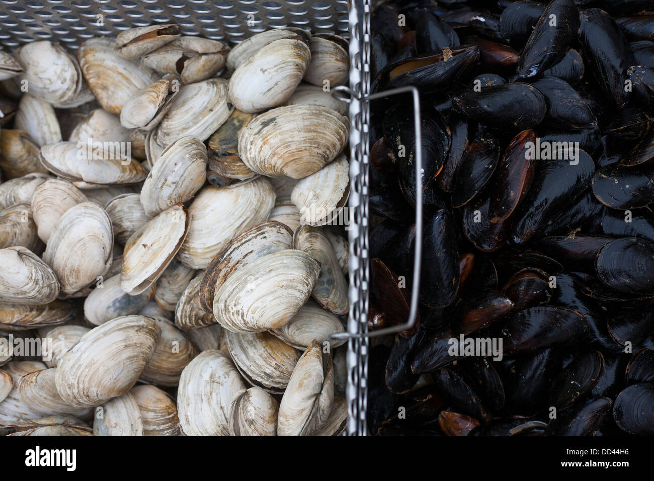 Shellfish Basting Broiled Shellfish , Fae Farm: How to Make Broiled Shellfish – FNWTXC