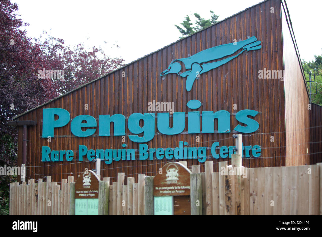 Rare penguin breeding centre building at chester zoo Stock Photo - Alamy