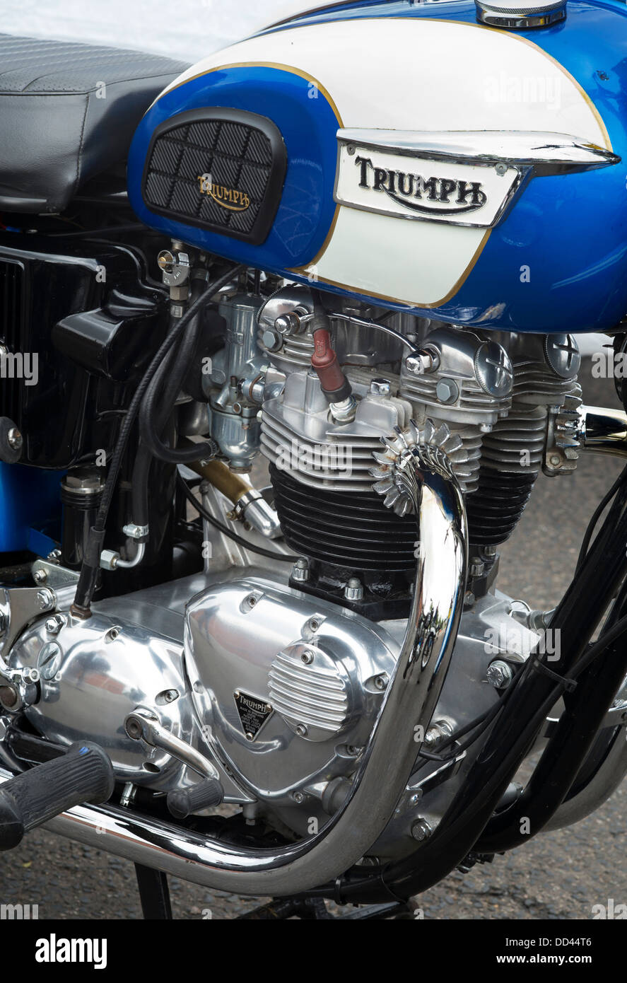 Triumph Tiger 110 650 cc OHV Twin motorcycle. Classic british