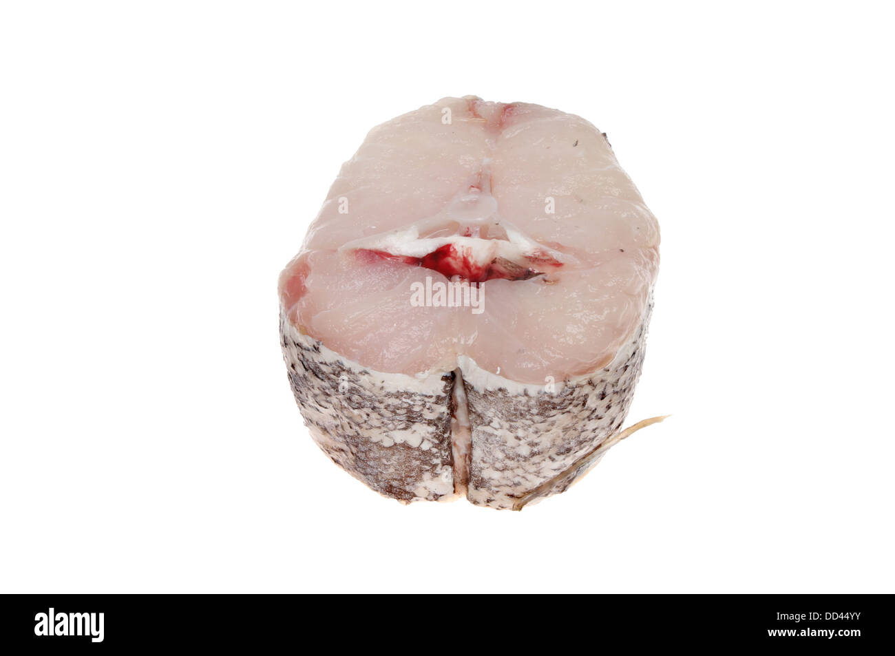 Raw hake fish steak isolated against white Stock Photo