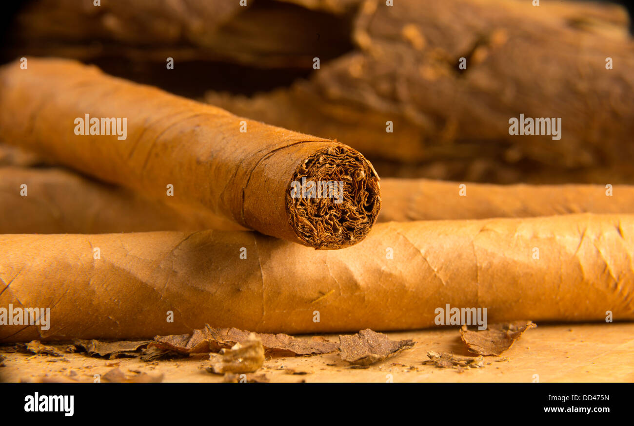 esoterica tobacco for sale Esoterica: MARGATE 8oz