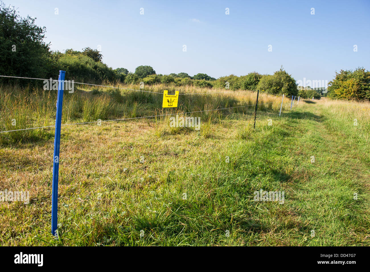 Electric fence in a field Stock Photo