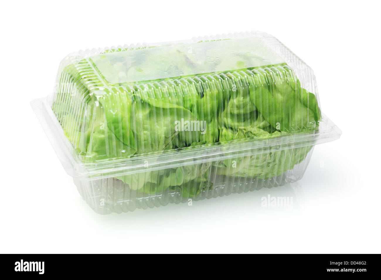 Salad Lettuce In Plastic Box On White Background Stock Photo