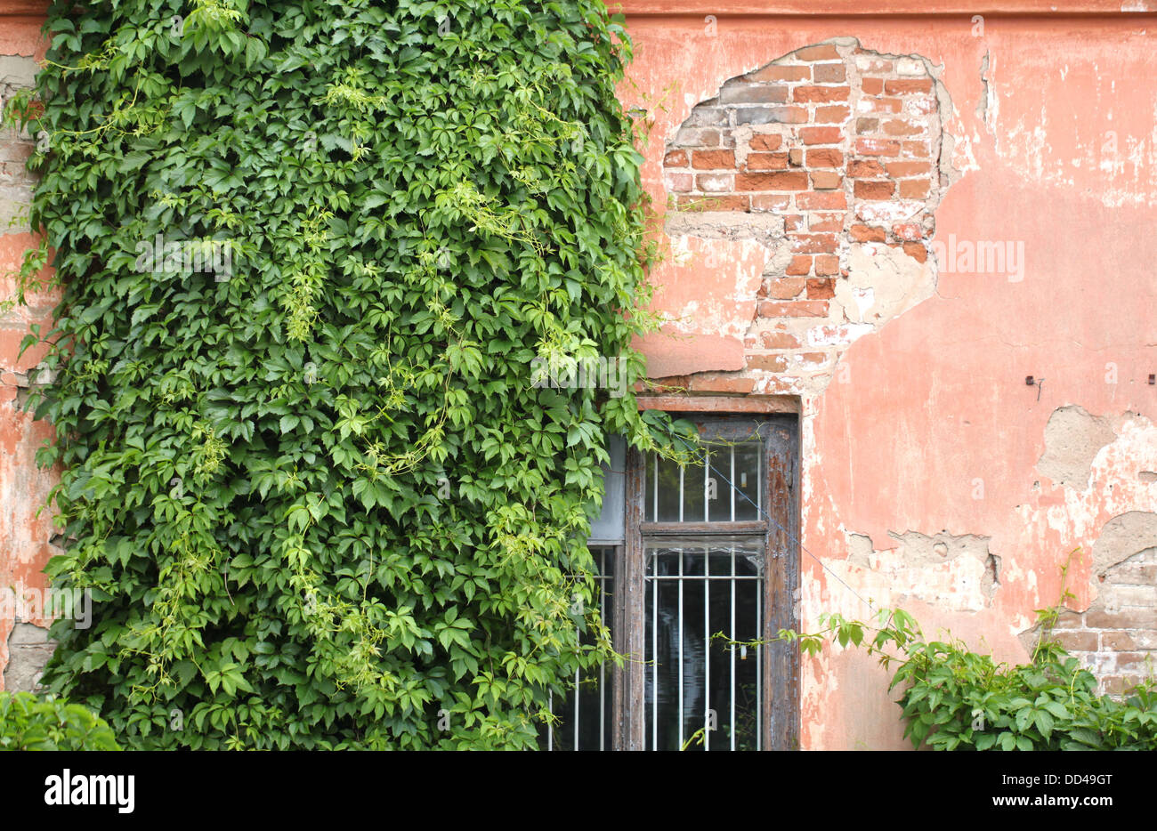 Old closed wooden covered hi-res stock photography and images - Alamy