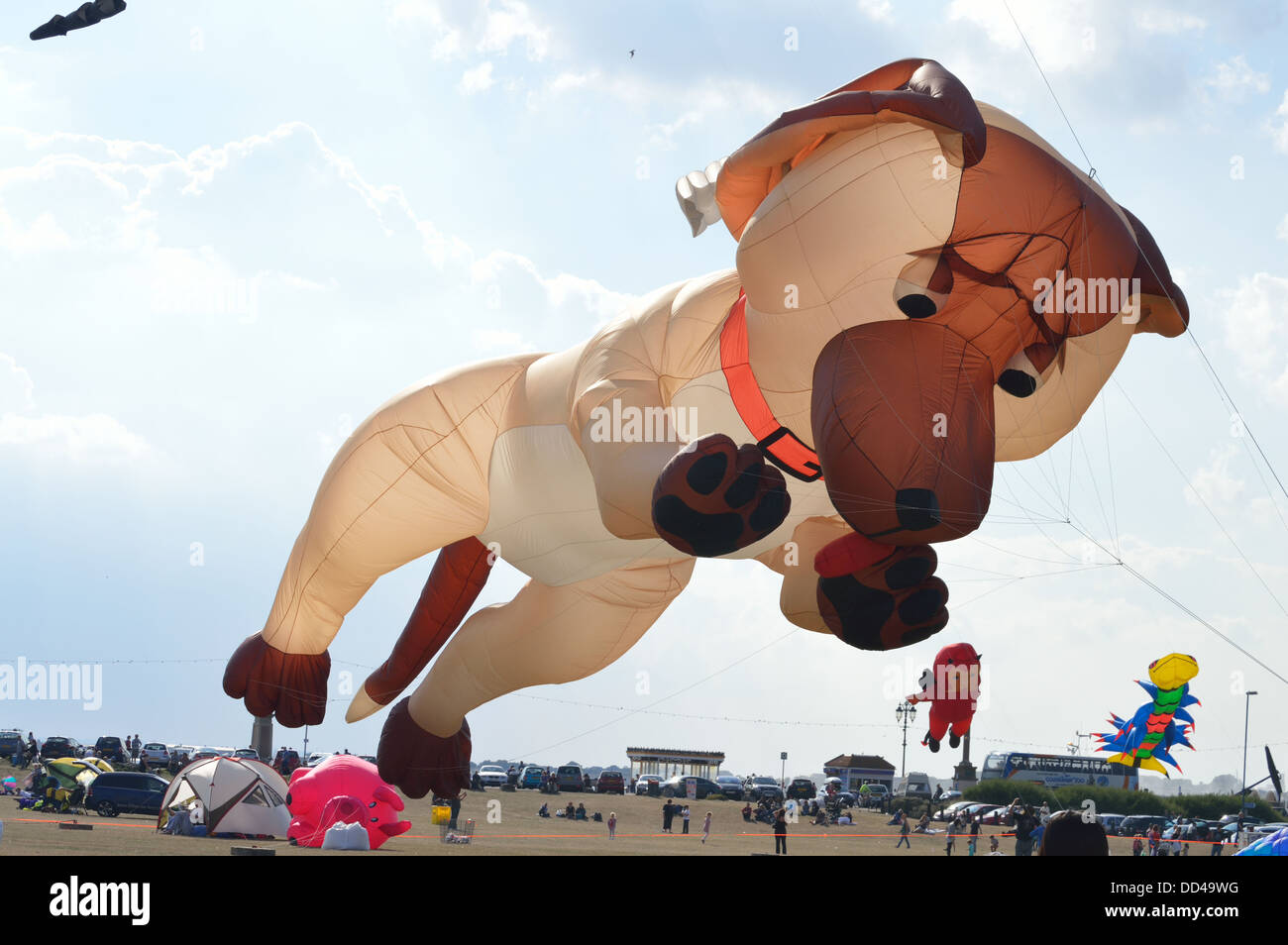 Dog kites hires stock photography and images Alamy