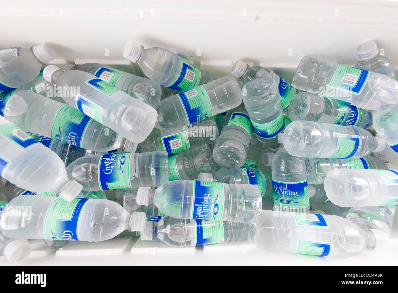 A cooler full of small plastic bottle of drinking water at a disabled sailing regatta in Newport RI Stock Photo - Alamy