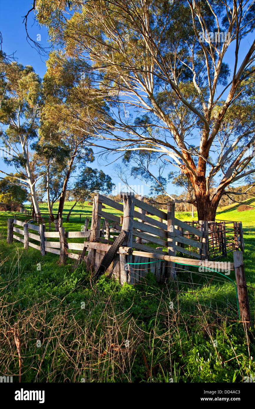 Old stock yard and loading ramp on the Meadows Road on the Fleurieu Peninsula in South Australia Stock Photo