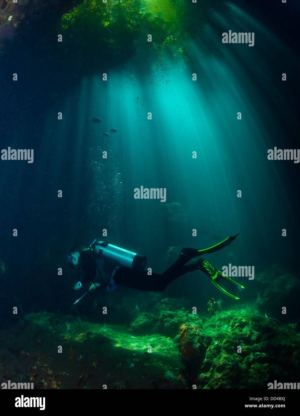 Female scuba diver exploring an underwater cavern illuminated by sunlight penetrating jungle canopy overhead. Raja Ampat, Indonesia Stock Photo