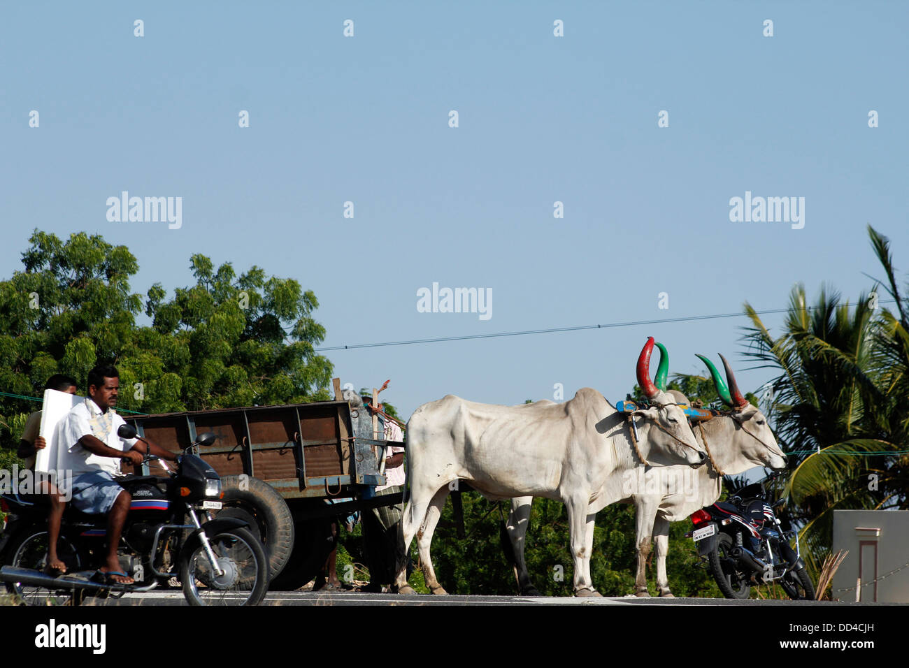 Bullock cart carts, in Tamil nadu; India Stock Photo Alamy