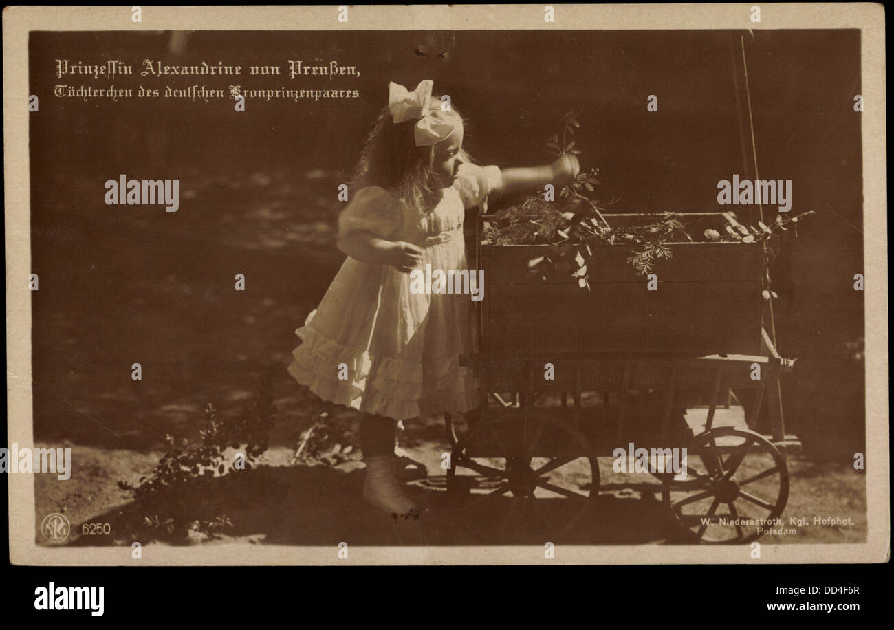 prinzessin alexandrine irene von preußen