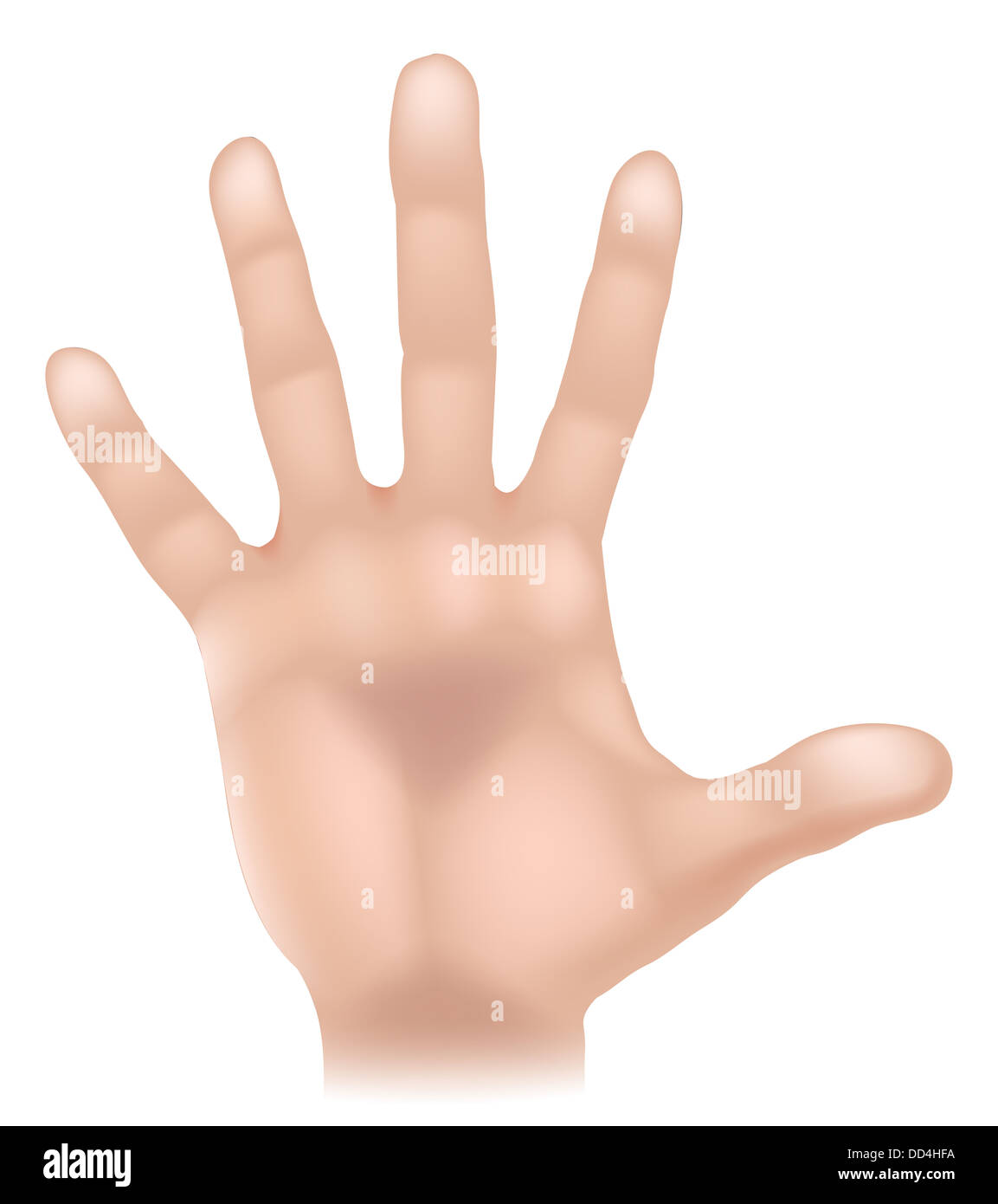 An illustration of a human hand body part, could represent touch in the five senses Stock Photo