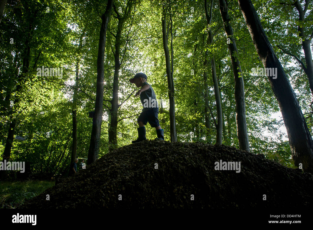 A four year-old boy plays below beech trees on a mound in Somerset woods. Stock Photo