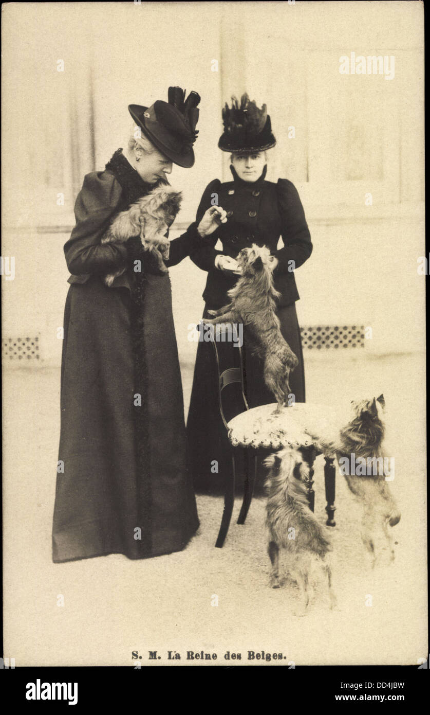 Ak S.M. La Reine des Belges, Yorkshire Terrier; Stock Photo
