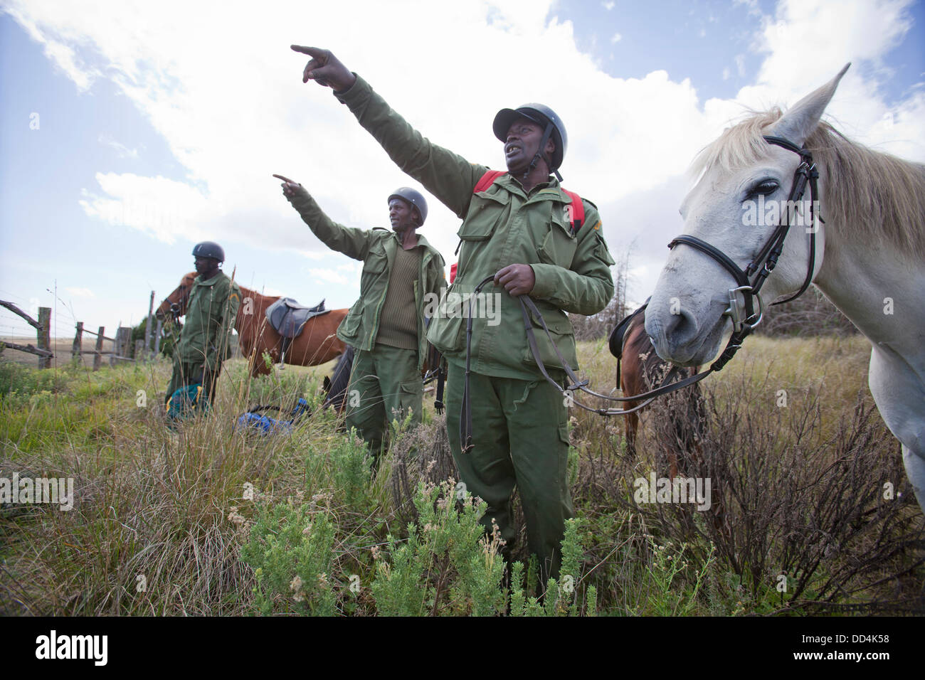 An anti-poaching mounted patrol survey the boundary of Mount Kenya National Park, Kenya Stock Photo