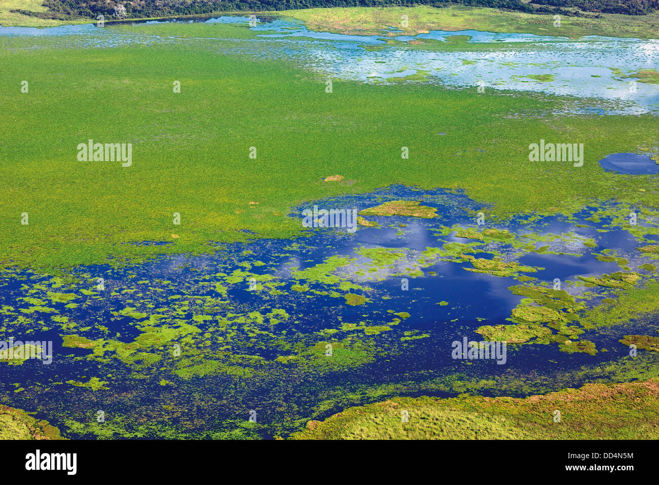 Brazil, Pantanal: Bird´s eye view from a plane to the wetlands of Pantanal matogrossense Stock Photo