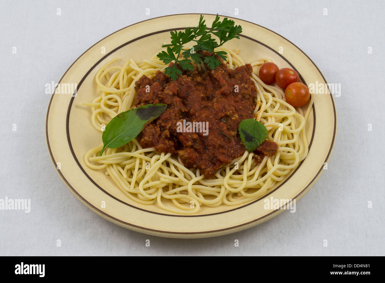spaghetti dinner with fresh basil oregano tomatoes and parsley on top