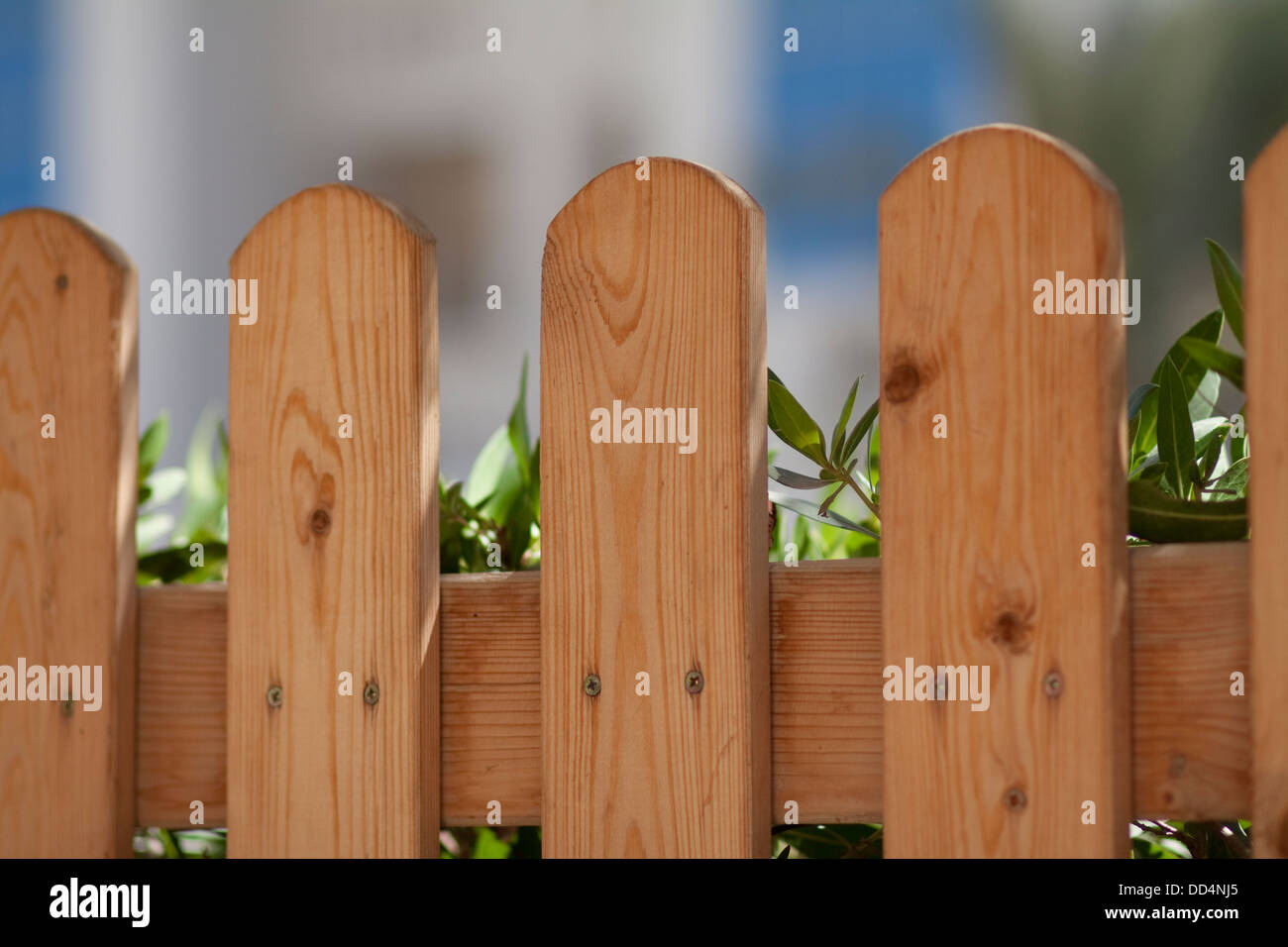 Garden fence with green plant Stock Photo Alamy