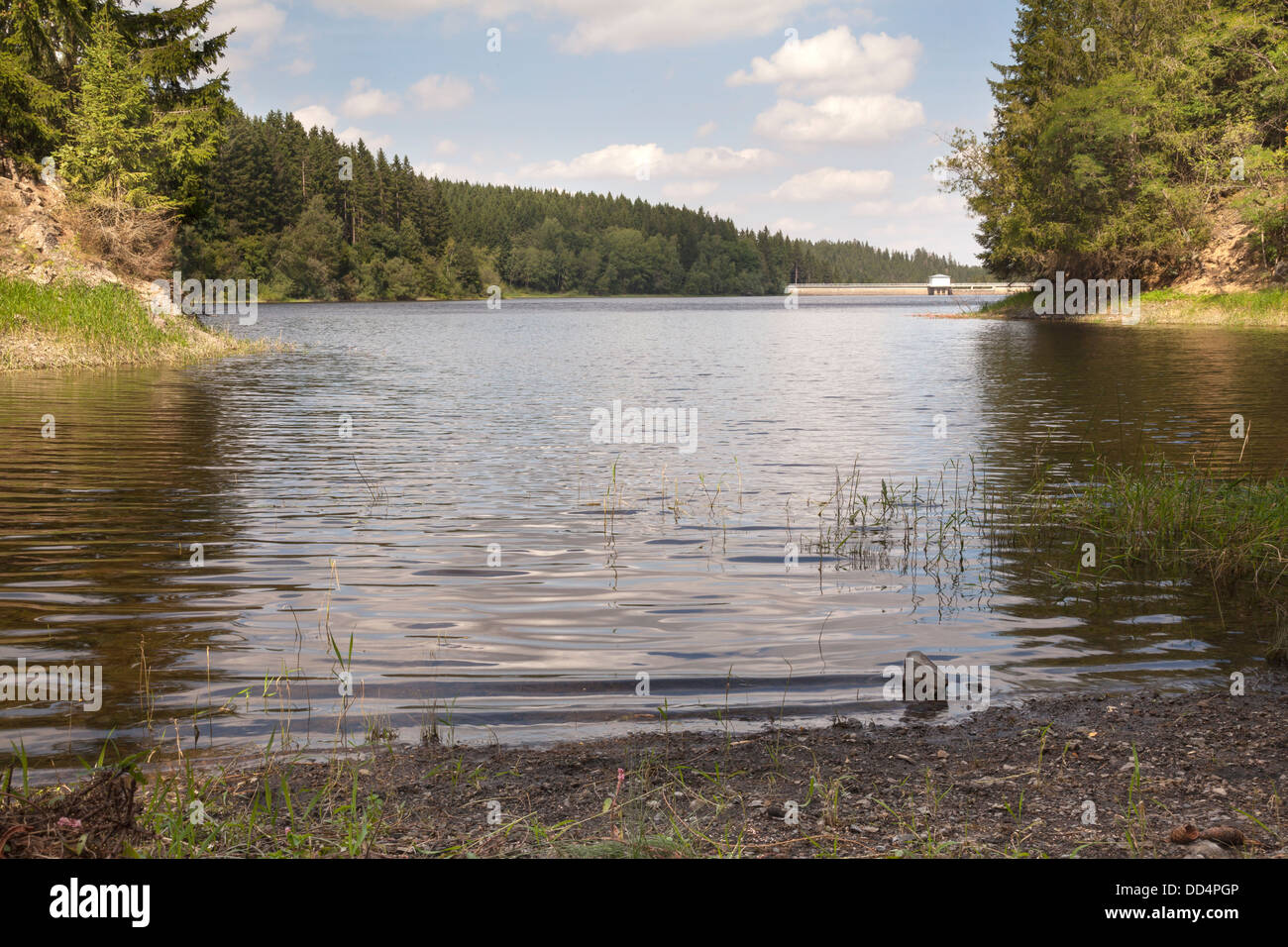 view over the Stausee to the Dam, Zillierbachtalsperre, Harz National Park, Saxony Anhalt, Germany Stock Photo