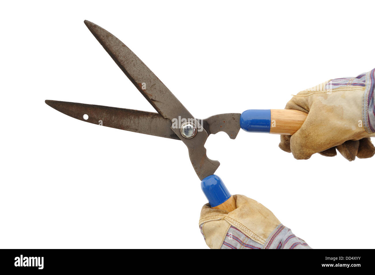 hand hedge trimmer