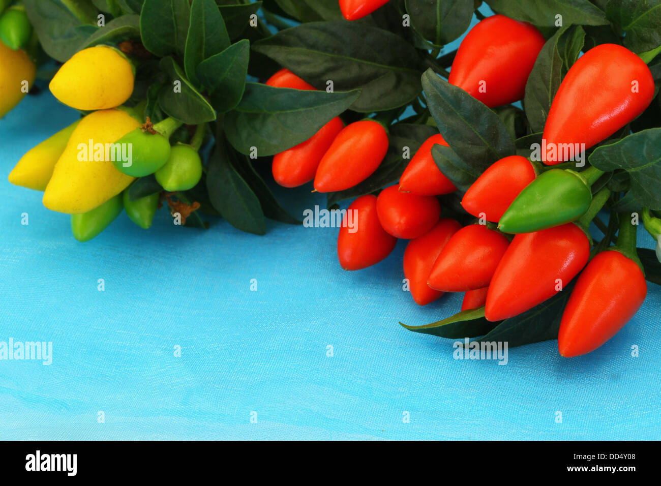 Hot red and yellow chili peppers with copy space Stock Photo - Alamy