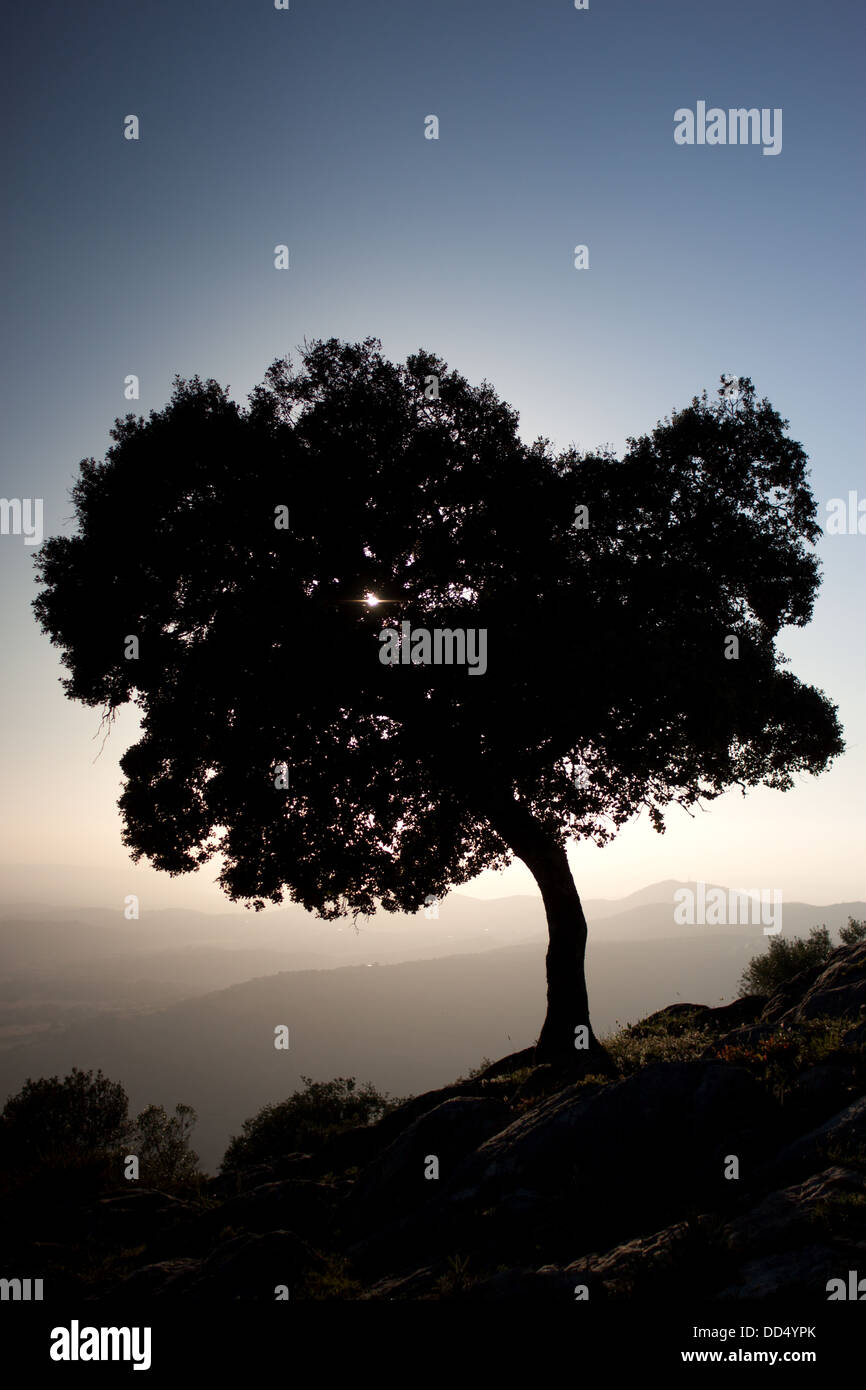 View from the Albarracin mountain, in the Sierra de Grazalema Natural