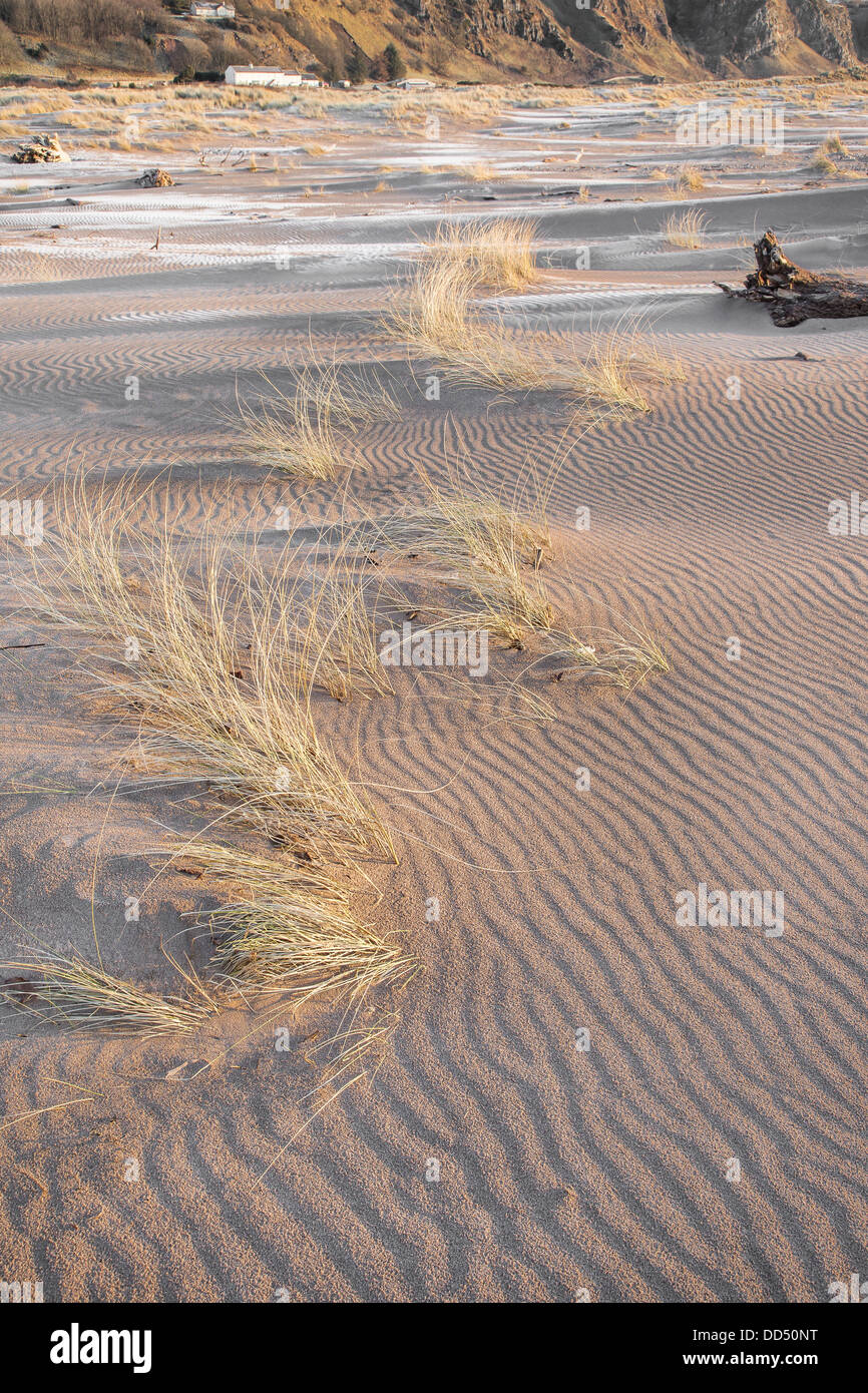 Dune grass & sand ripples at St Cyrus Stock Photo