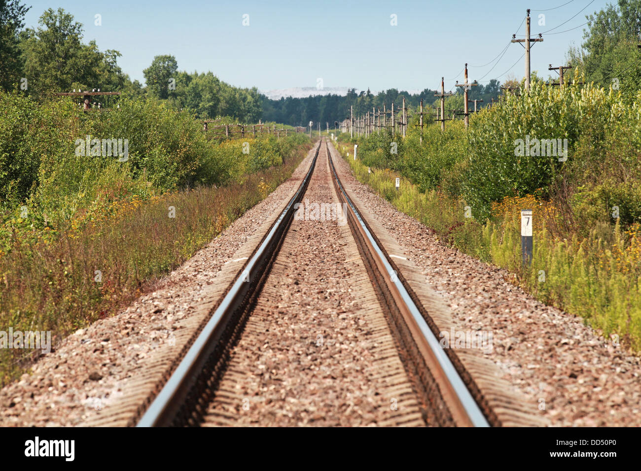 Long straight railway perspective with poles, green grass and blue sky Stock Photo