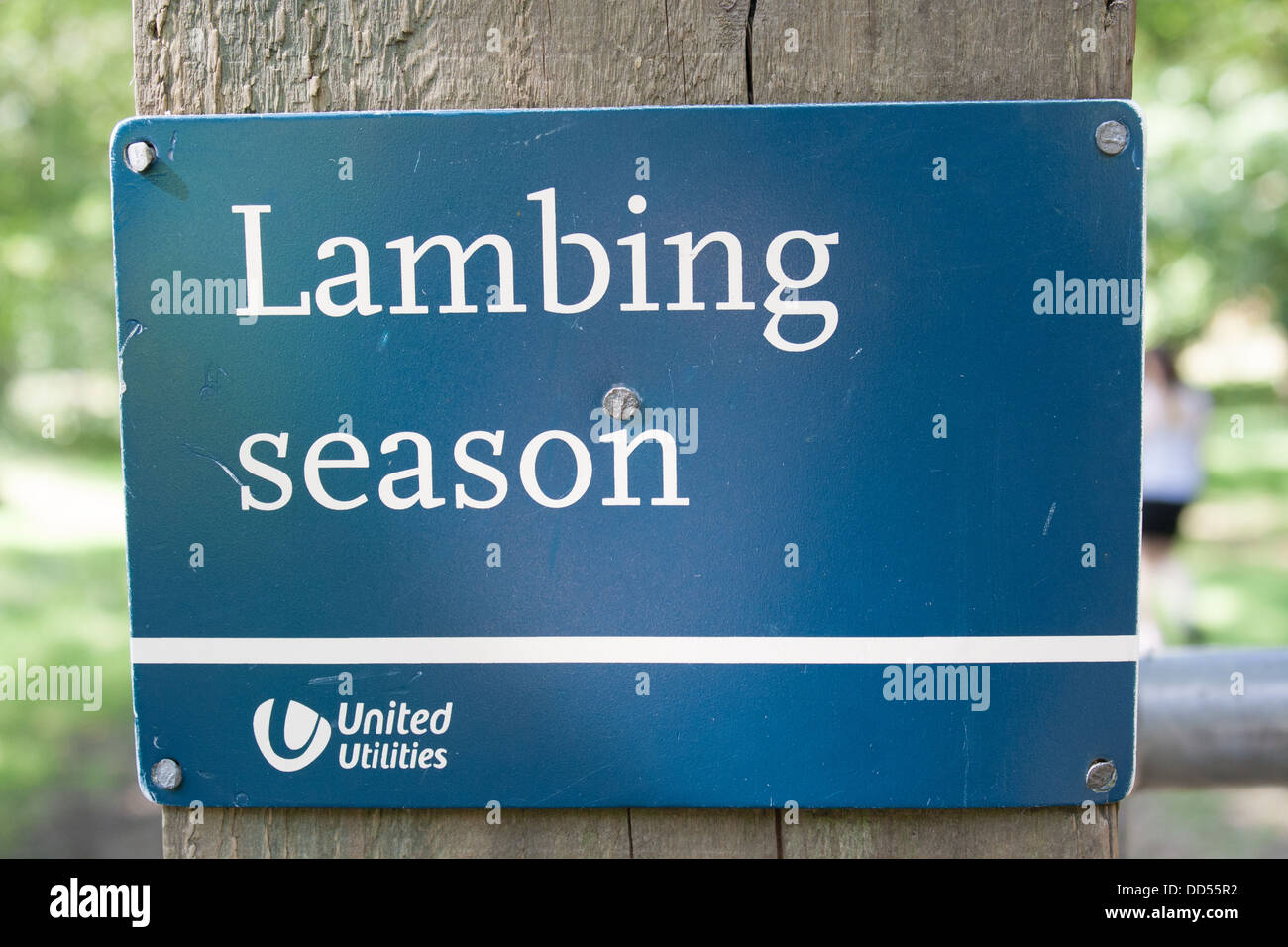 lambing season sign Stock Photo