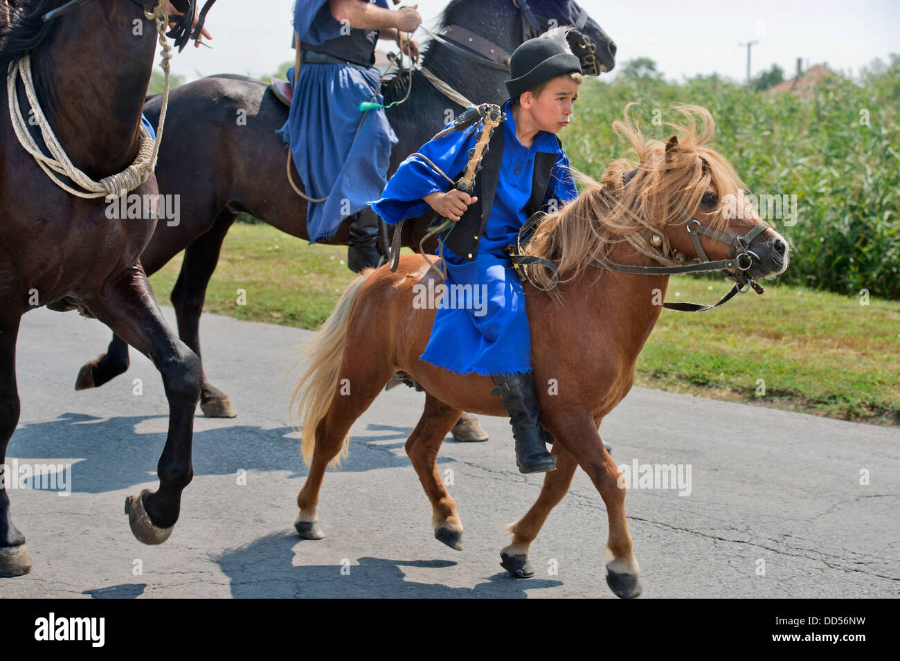 Traditional Hungarian 'Csikos' at a horse festival in the Hungarian town of Devavanya Aug 2013 Stock Photo