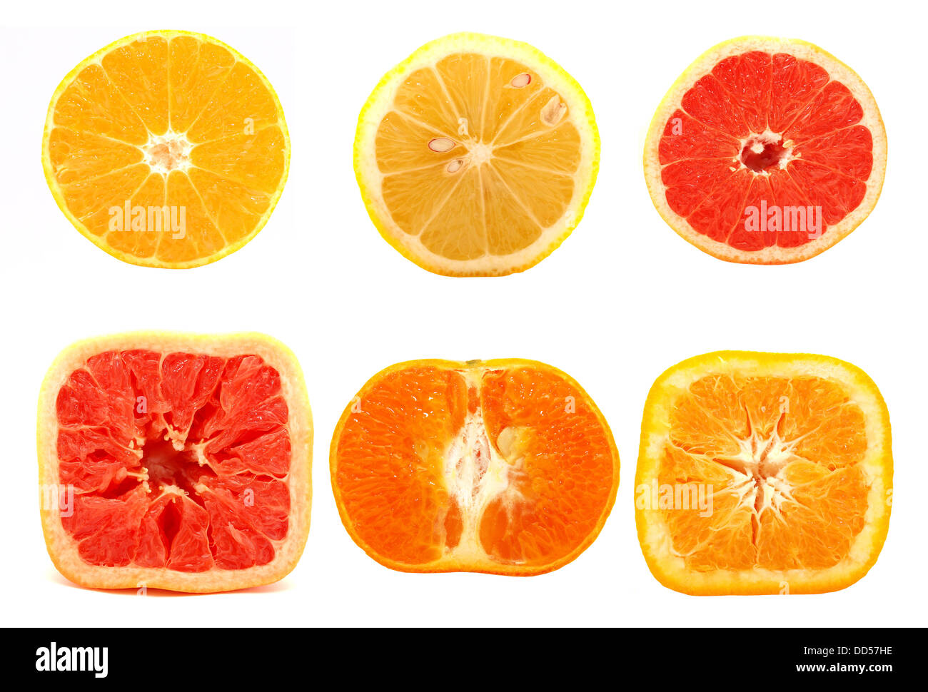 Juicy citrus fruits set hi-res stock photography and images - Alamy