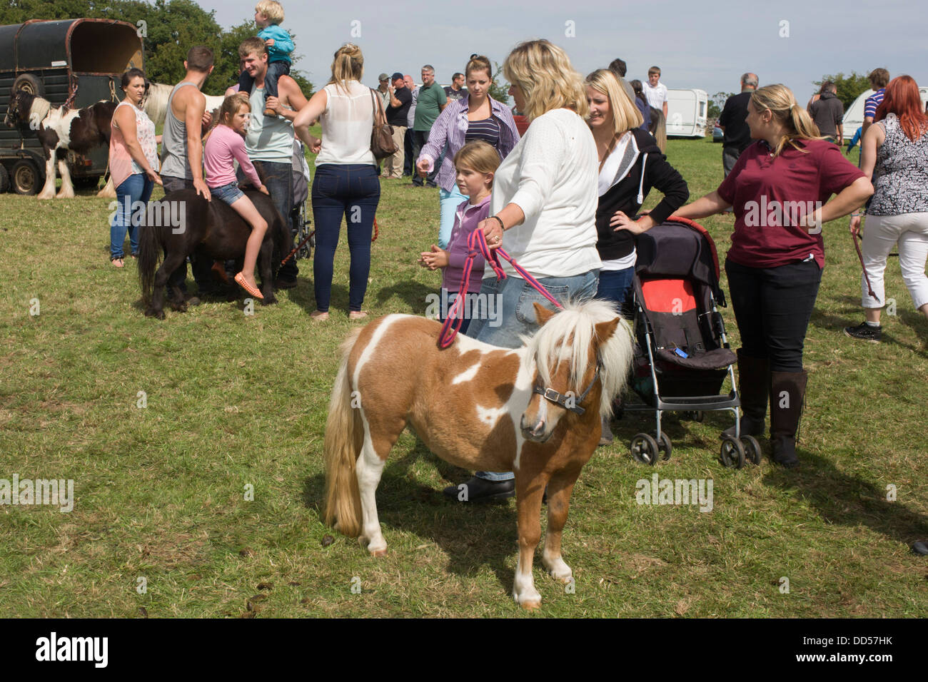 Young travellers try out Shetland ponies at the ancient annual Priddy Sheep (and horse) fair in Somerset, England. Stock Photo