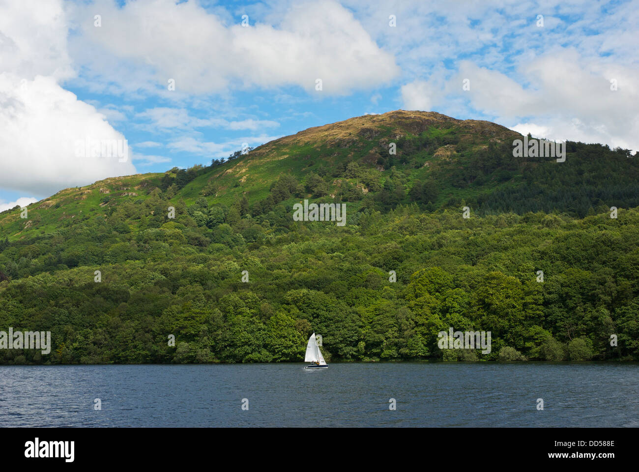 Sailing boat on Lake Windermere, overlooked by hill, Gummers How, Lake