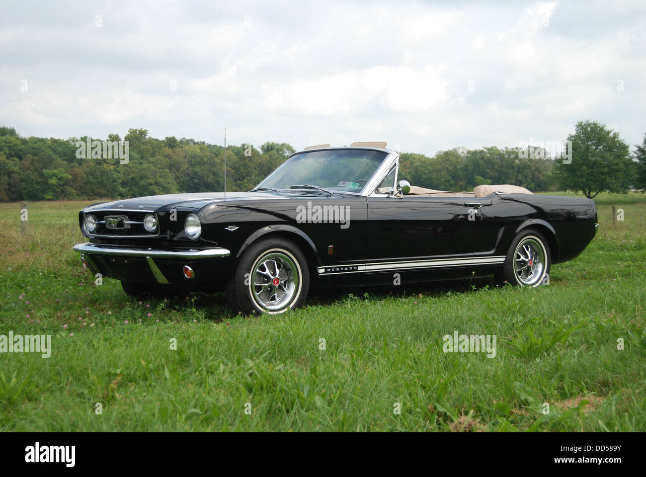 1966 Ford Mustang GT Stock Photo