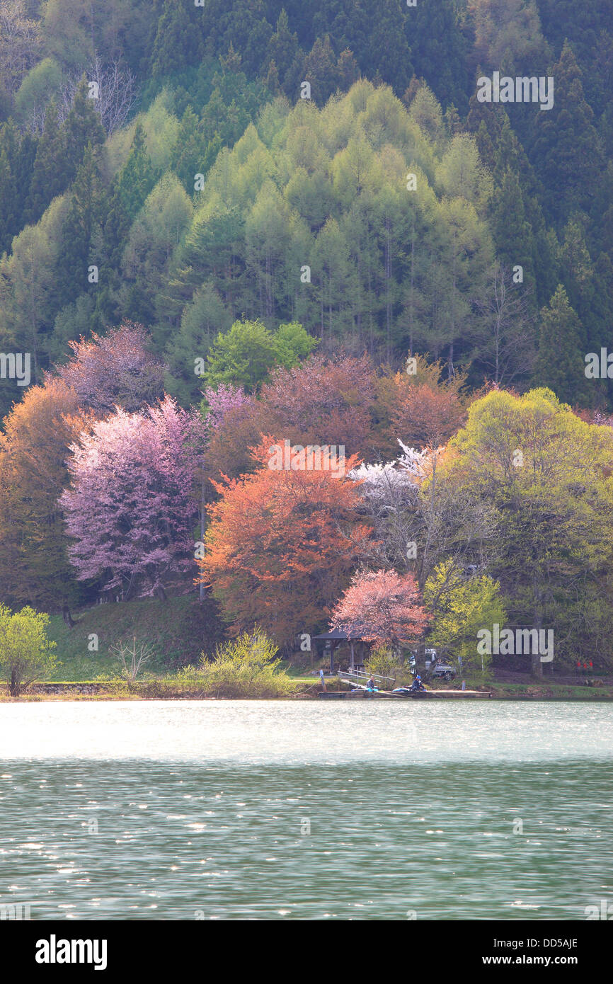 Forest and lake Nakatsu, Nagano Prefecture Stock Photo