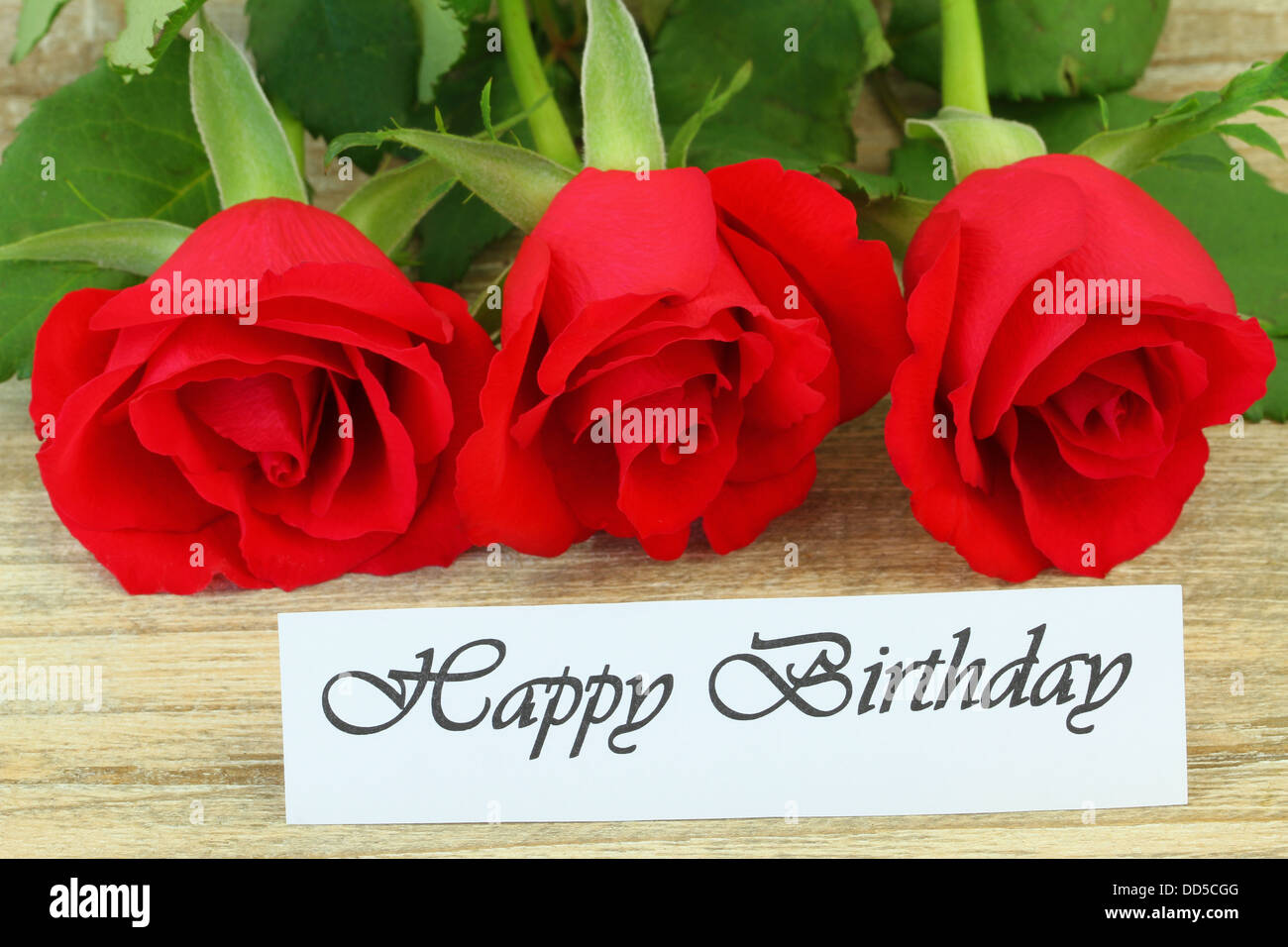 Beautiful Bouquet of Red Roses with Gift Box on the Red Background - Happy  Birthday Greeting Card Concept Stock Image - Image of copy, border:  175458133