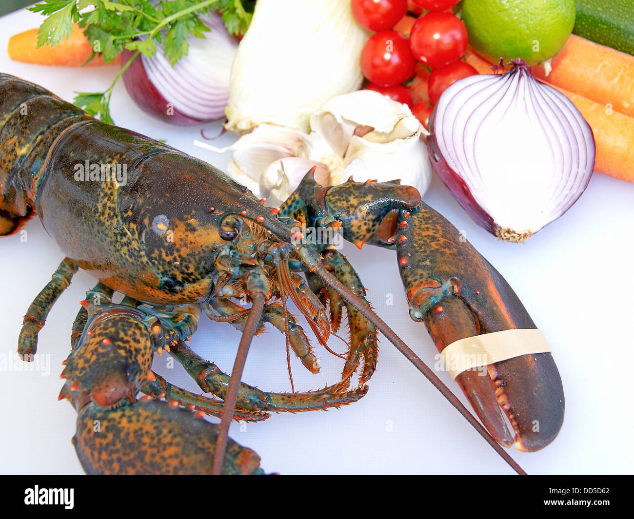 -Lobster and Veggies- Stock Photo