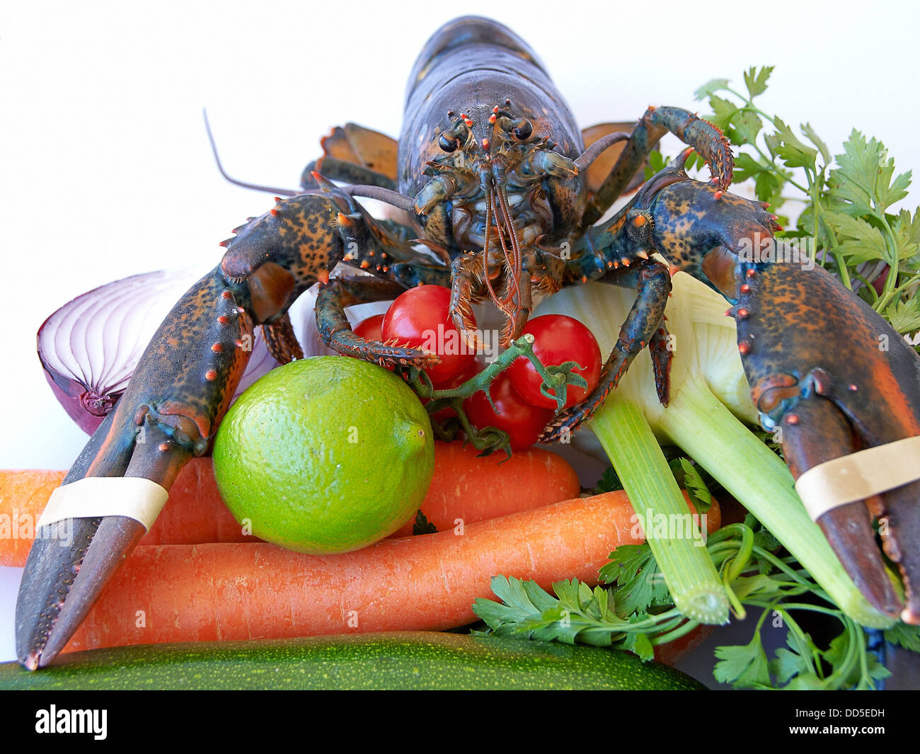 -Lobster and Veggies- Stock Photo