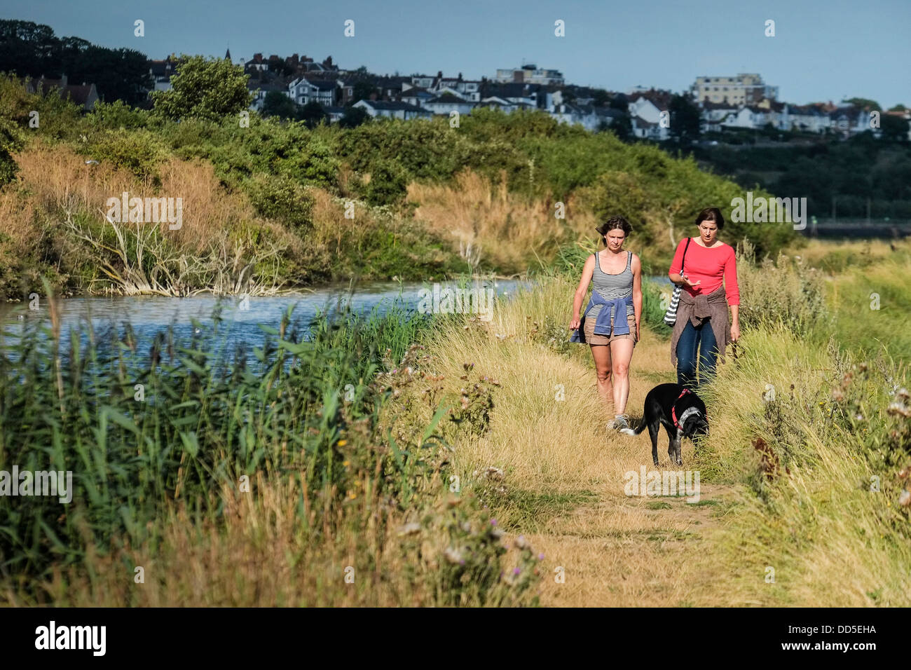 Two women walking with a dog in Two tree Island nature reserve. Stock Photo