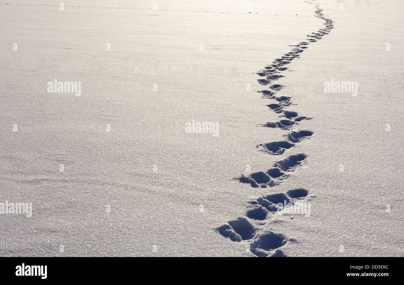 Human Footprints In Deep Snow On Sunny Day Stock Photo - Alamy