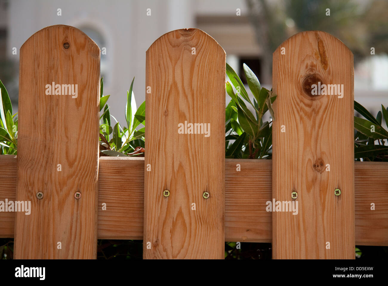 Garden Hedge Fence High Resolution Stock Photography and Images - Alamy