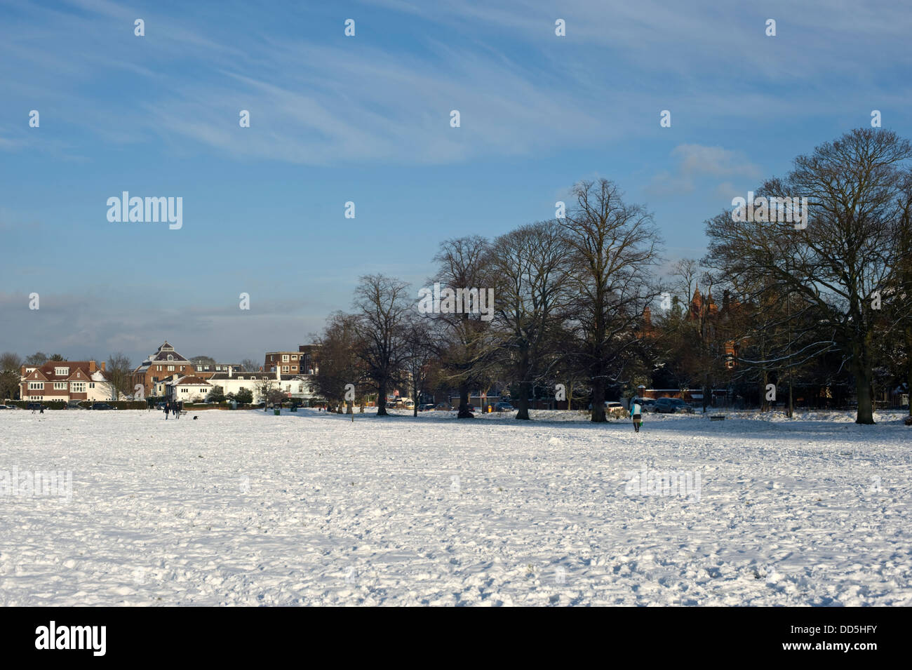 Wimbledon, London, England, January 21, 2013: The South Common section of Wimbledon Common on a cold clear day, covered in snow. Stock Photo